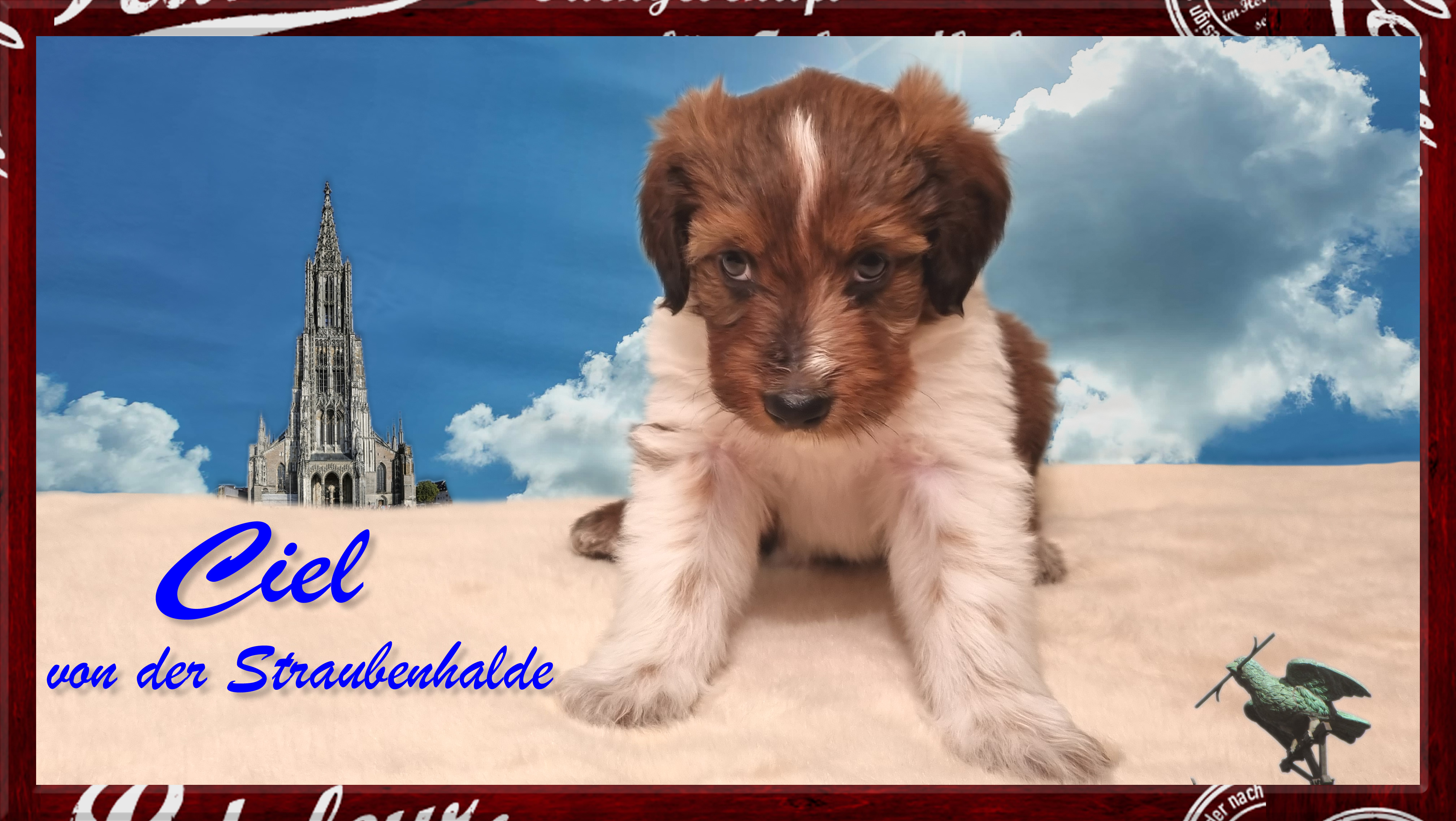 Wäller von der Straubenhalde